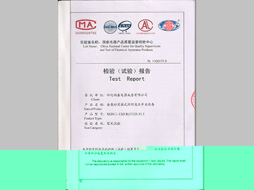 金屬封閉箱式環網高壓開關設備XGN  -12(F.R) T125-31.5 1